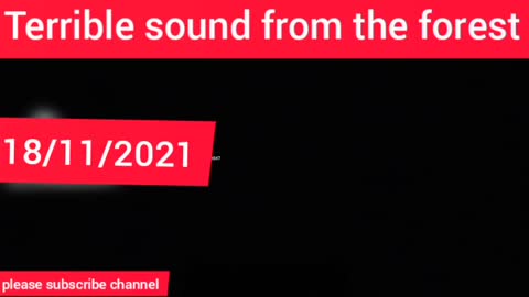 Horrible noises started coming at one o'clock at night so I started making videos to see what it .