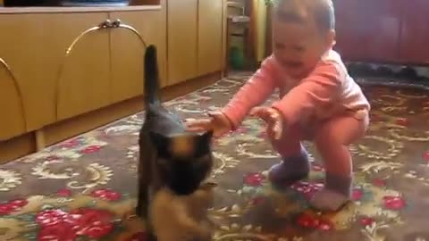 Mama Cat Takes Back Crying Kitten From Toddle