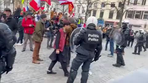 Inizio dell'assemblea del convoglio della libertà a Bruxelles.