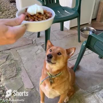 Sometimes You Just Need to get Excited About Dinner