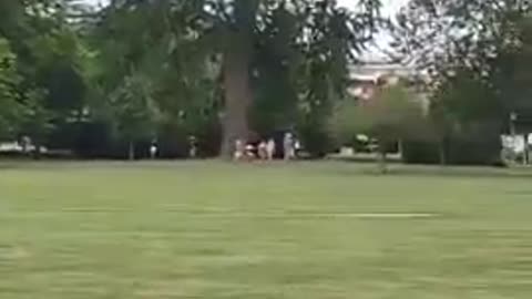 NOTHING TO SEE IN WASHINGTON DC