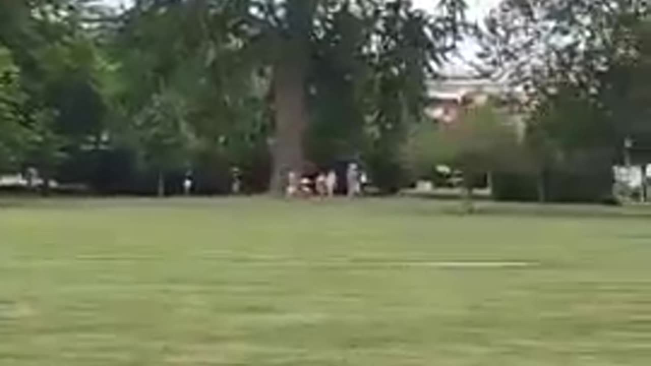 NOTHING TO SEE IN WASHINGTON DC