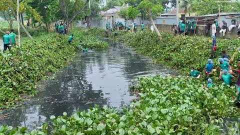 Collecting waste from waterways