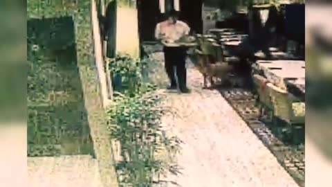 Things caught on security cameras