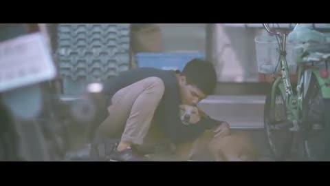 He Goes Around Hugging Unloved Stray Dogs. This Is The Result