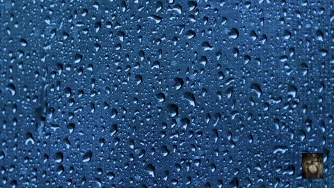 Vehicles, Thunder and Rain. From An Open Window. Relaxing sounds. Drift into your own happiness.