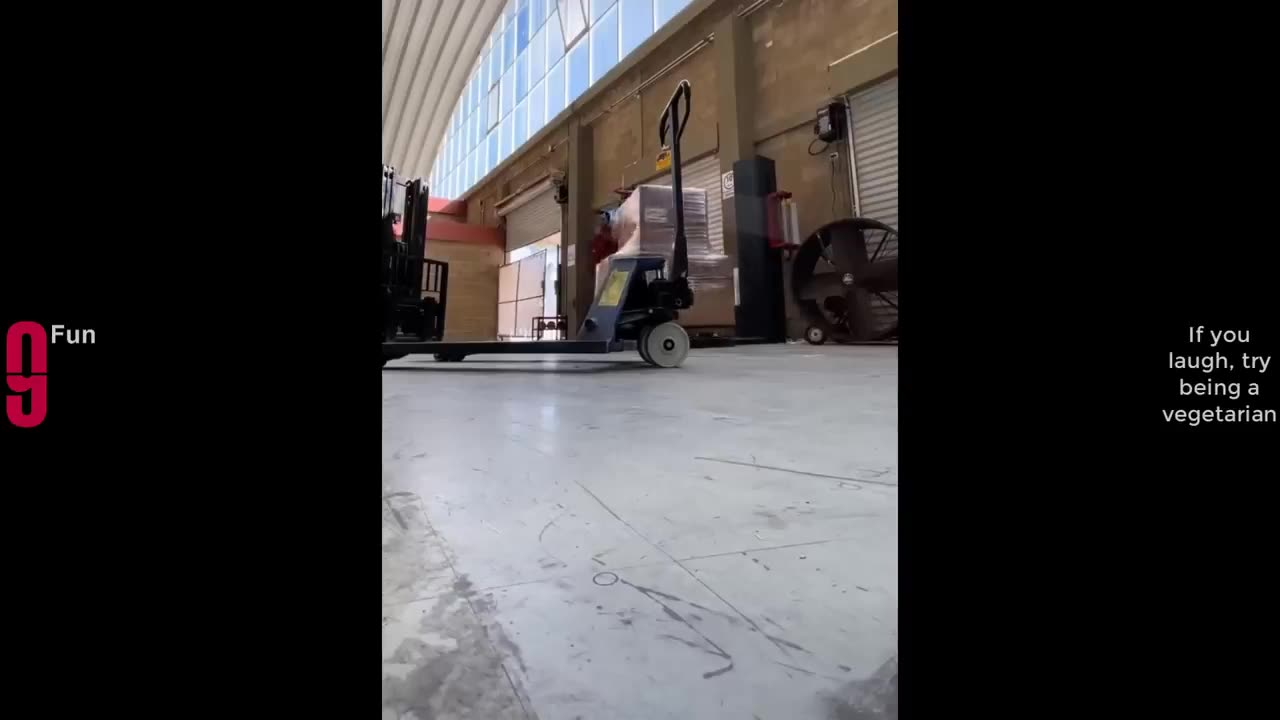 Best Funny Videos Compilation
