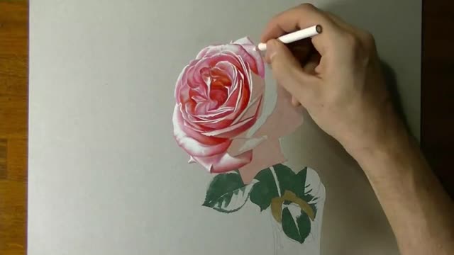 Draw The Bright And Open Shape Of The Flowers