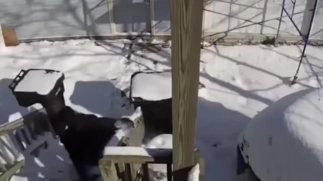 Unexpected funny video selection 23 play # funny # funny video #