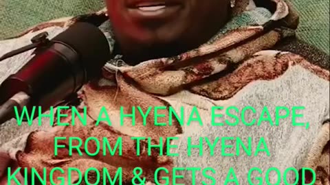 WHEN A HYENA ESCAPE, FROM THE HYENA KINGDOM & GETS A GOOD MAN SHE DON'T DESERVE.