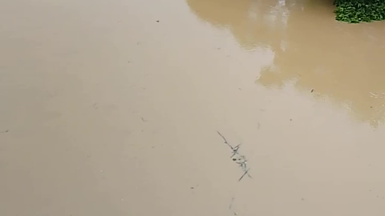 River Comilla