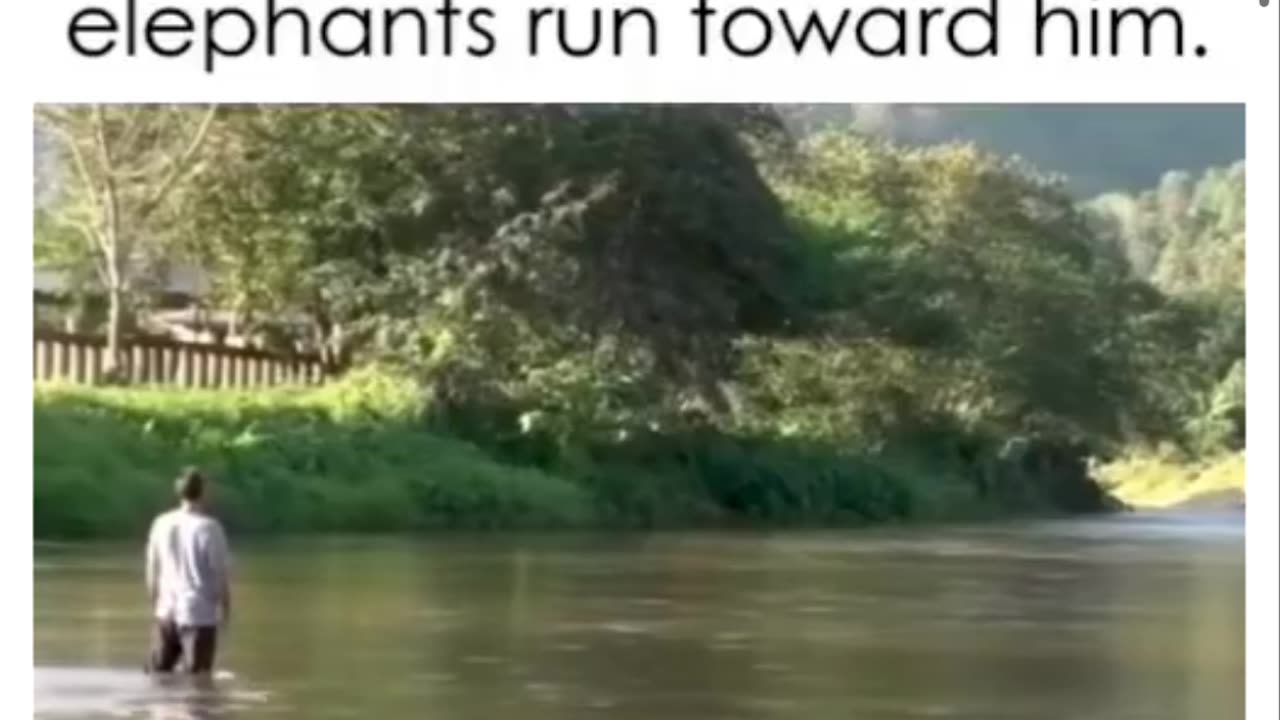 Elephant caretaker returns