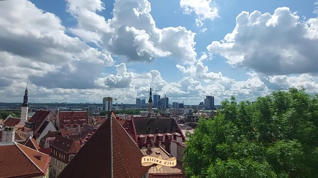 Kohtuotsa Viewing Platform | Tallinn Old Town | UNESCO World Heritage | Estonia