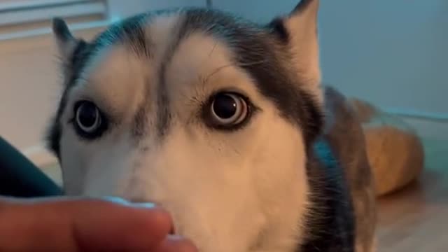 he felt so bad
