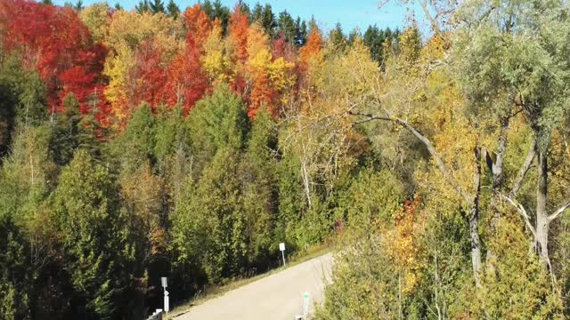 Ontario Fall Colours - Airport Road CANADA