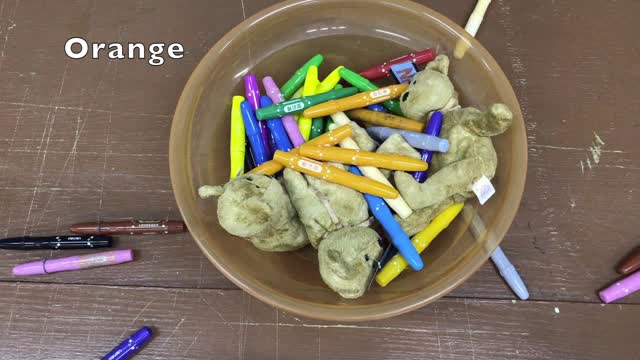 A Bowl Full of Color