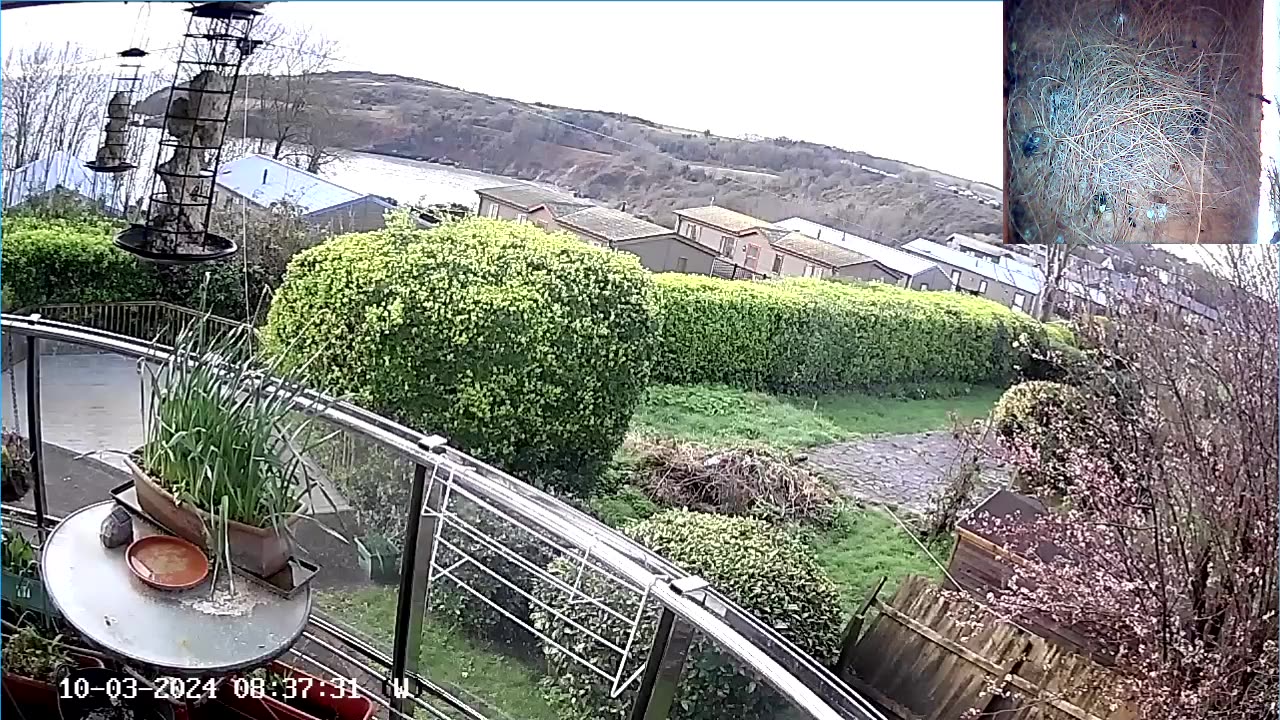 Saint Mary's cove Brixham UK, and bird Box & feeder.