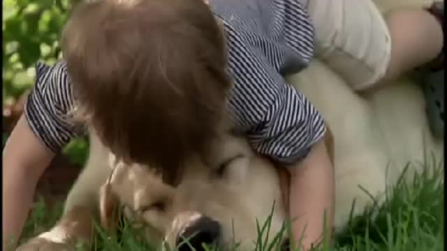 CUTE Little Boy & his dog HIGH QUALITY