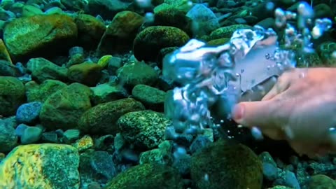 Beautiful under water scene #shorts #short #underwater