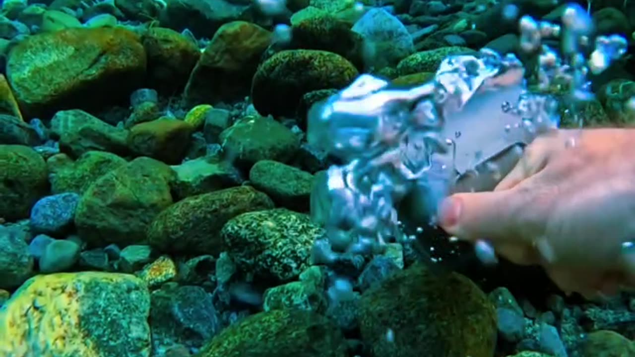 Beautiful under water scene #shorts #short #underwater