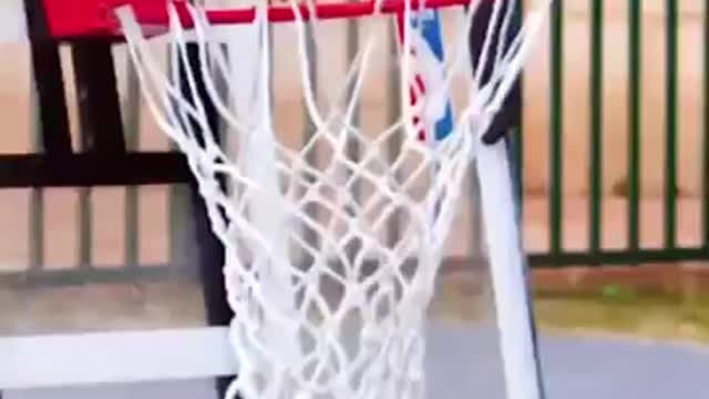 dropping a basketball from a height