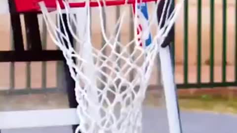 dropping a basketball from a height