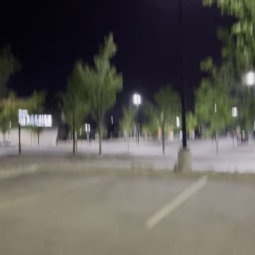 bunny with light eyes