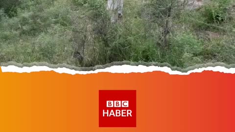Müslümanlar polis işkencesinden kaçmak için ormanlarda saklanıyorlar.