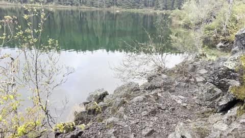 Arriving at the Green Section of Clear Lake Loop – Central Oregon – 4K