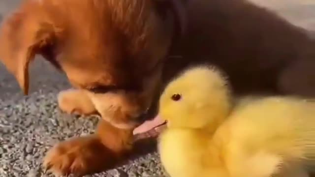 A friend is a friend no matter what