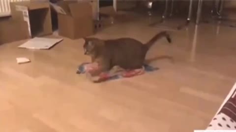 Around and Around We Go