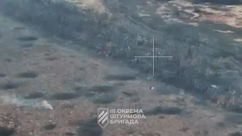 Ukrainian Drones Going After Russian Infantry Group Column Caught Out in the Open