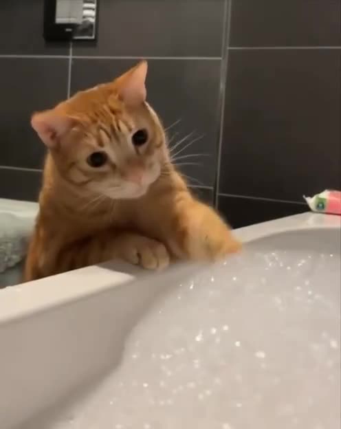 Edible bubbles 😂😂