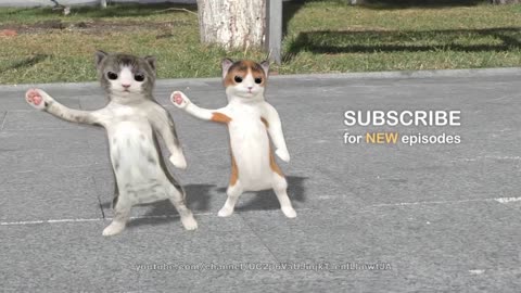 dancing cats