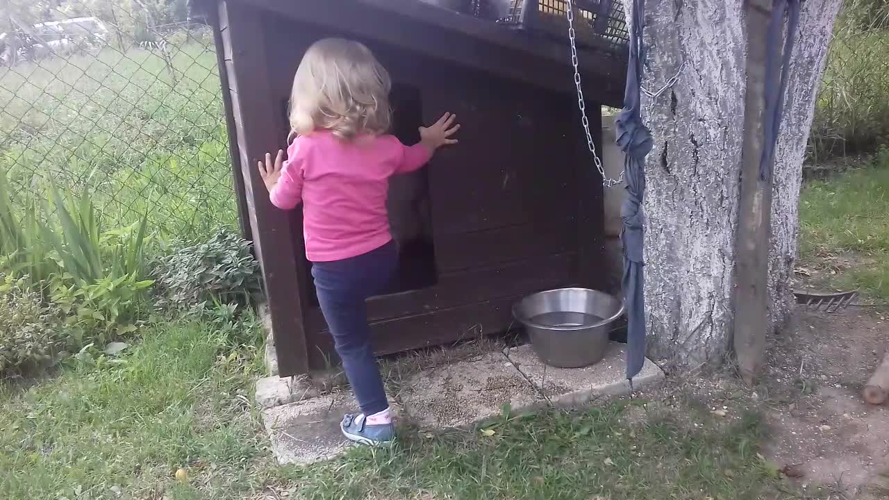 Puppy shares doghouse with toddler best friend