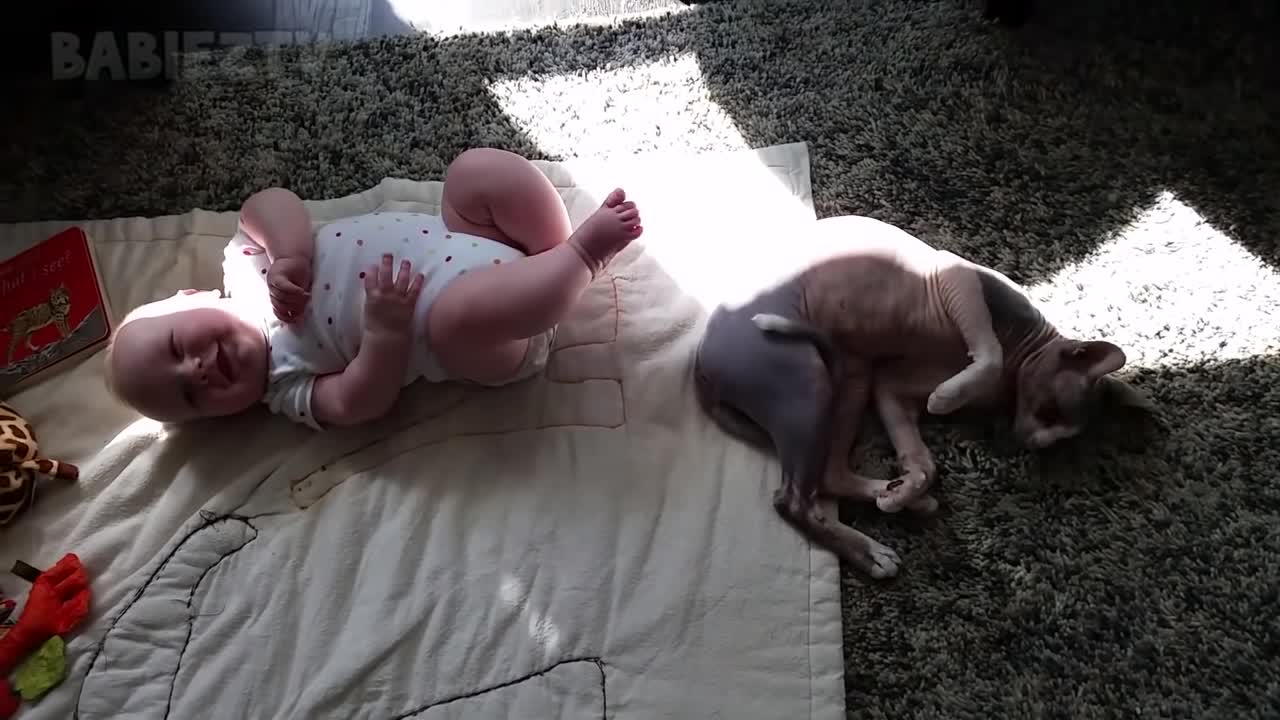 Adroble baby playing with the dog |funny completions