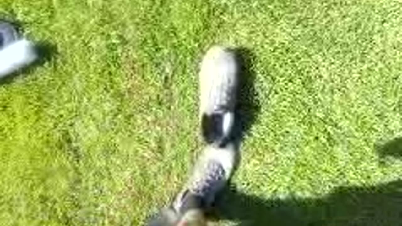 Fri, Sept 8, 2:06pm f, 2023.