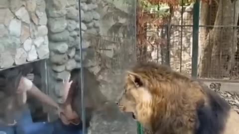 Fail ops Moments Clips #shorts Video🤣_ #trending #animals #reels