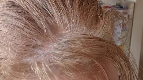 Experimenting with oils