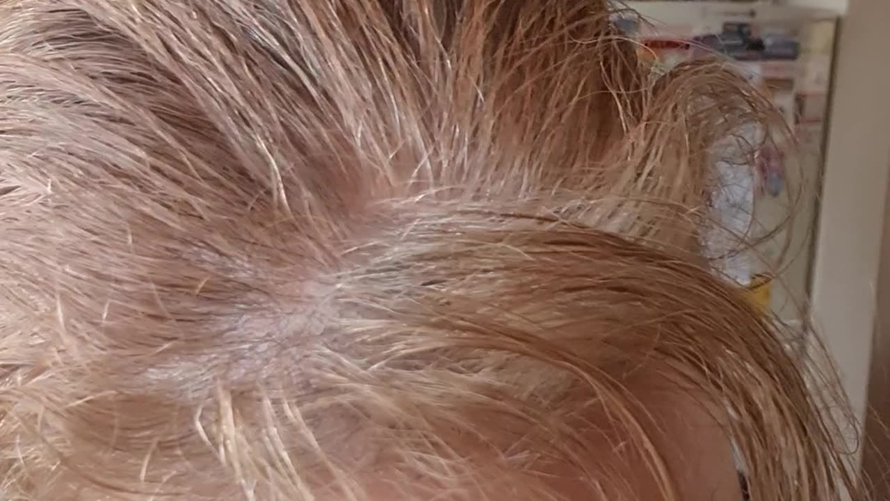 Experimenting with oils