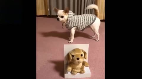 Funny Toy Copying Dog | Toy Funny Video.