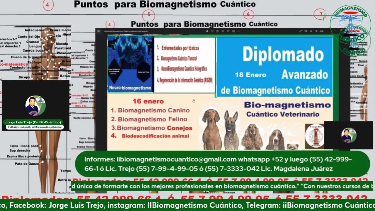 Papiloma al Descubierto: Una Mirada Profunda con Biomagnetismo y Biodescodificación