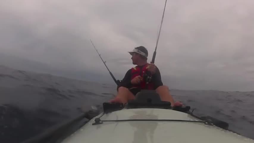 Great White Shark knocks kayaker into the Ocean. Crazy Footage!!!