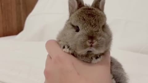 Cutie little things 😍