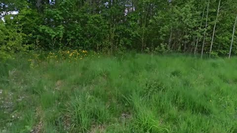 Naturreservat. Boglundsängen. Örebro 22 Maj 2022