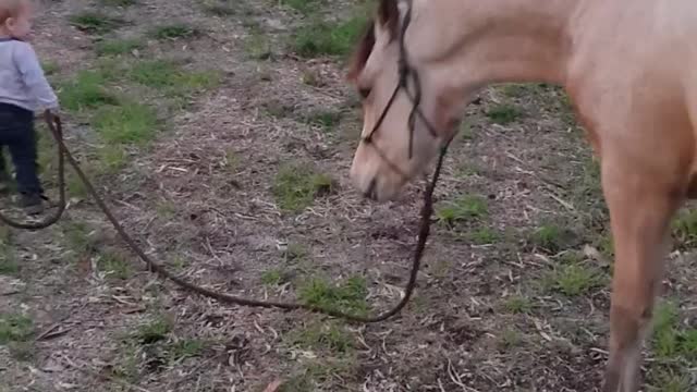 A Little Kid Walking his Baby Horse