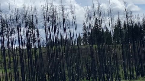 Investigation of the Chemical Lake Fire aftermath. Same strange anomolies as the other DEW attacks.