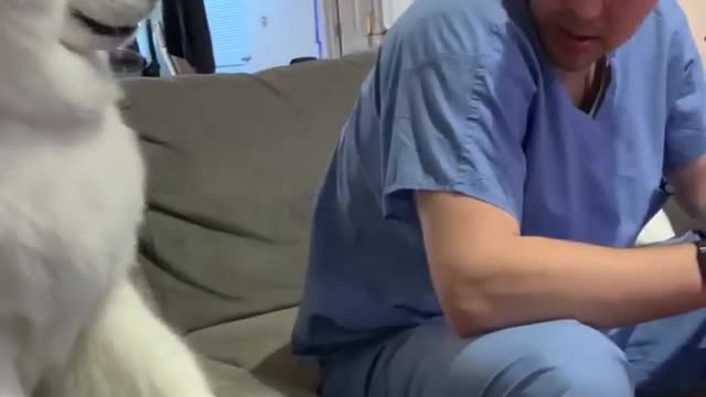 So funny dog video