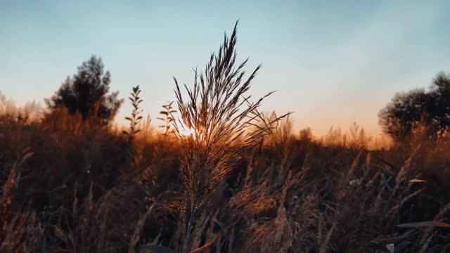 The Most Beautiful Sunset In The World | Beach Sunset 4K Video