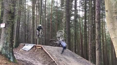 Bicycle guy jumps ramp in woods and lands short and faceplants